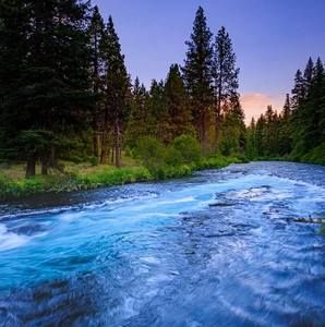 Meet your Posher, Shellie